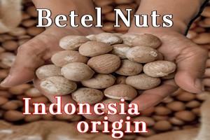 Nuez de Betel Entera from Indonesia